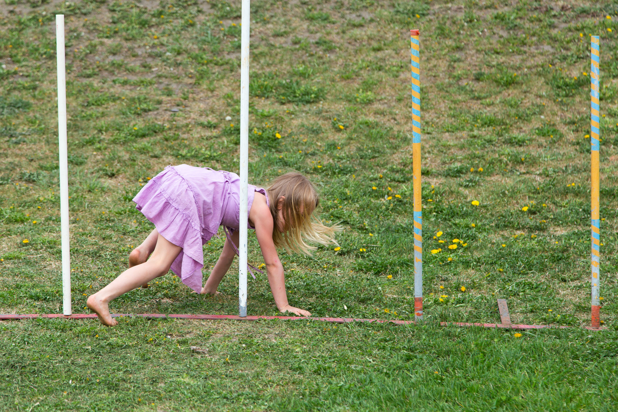 5 EASY Ideas for a DIY Backyard Obstacle Course