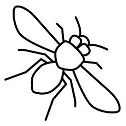 Bug ID Checklist