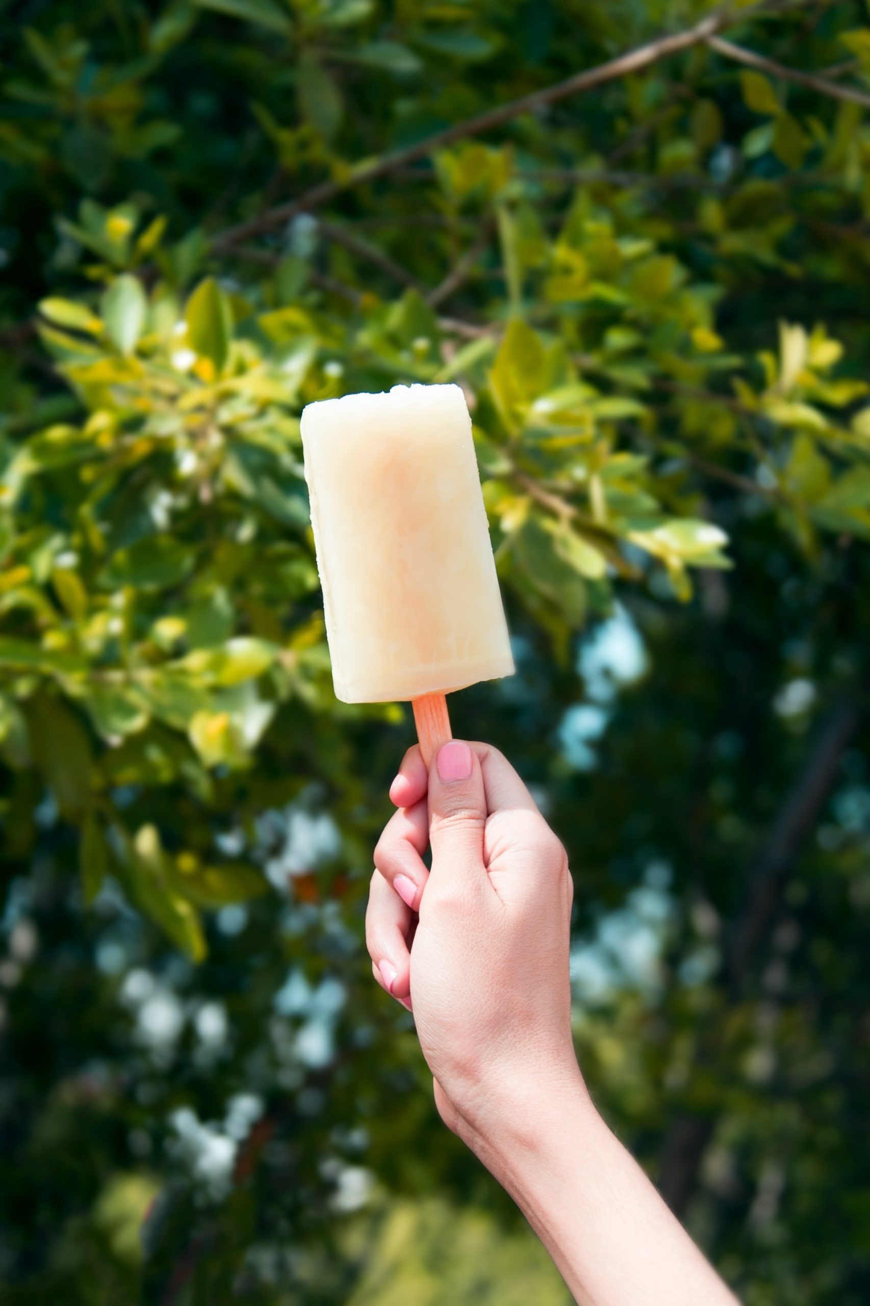Three Easy Summer Popsicle Recipes