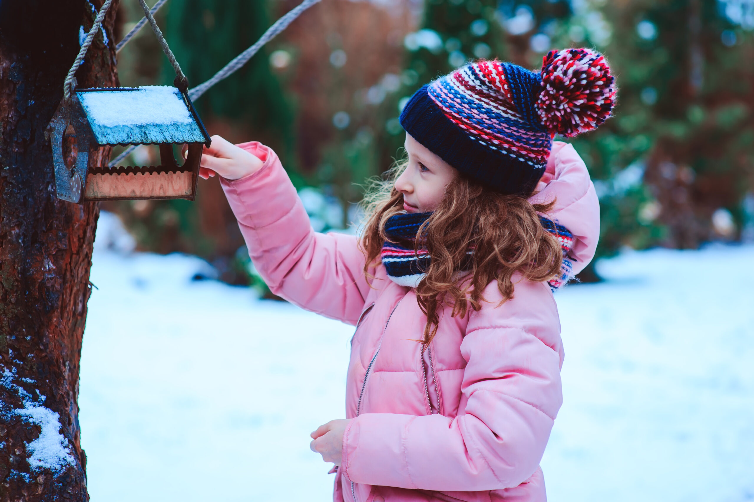 Free Activity: How Animals Prepare for Winter